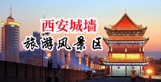啊啊啊啊啊要到中国陕西-西安城墙旅游风景区